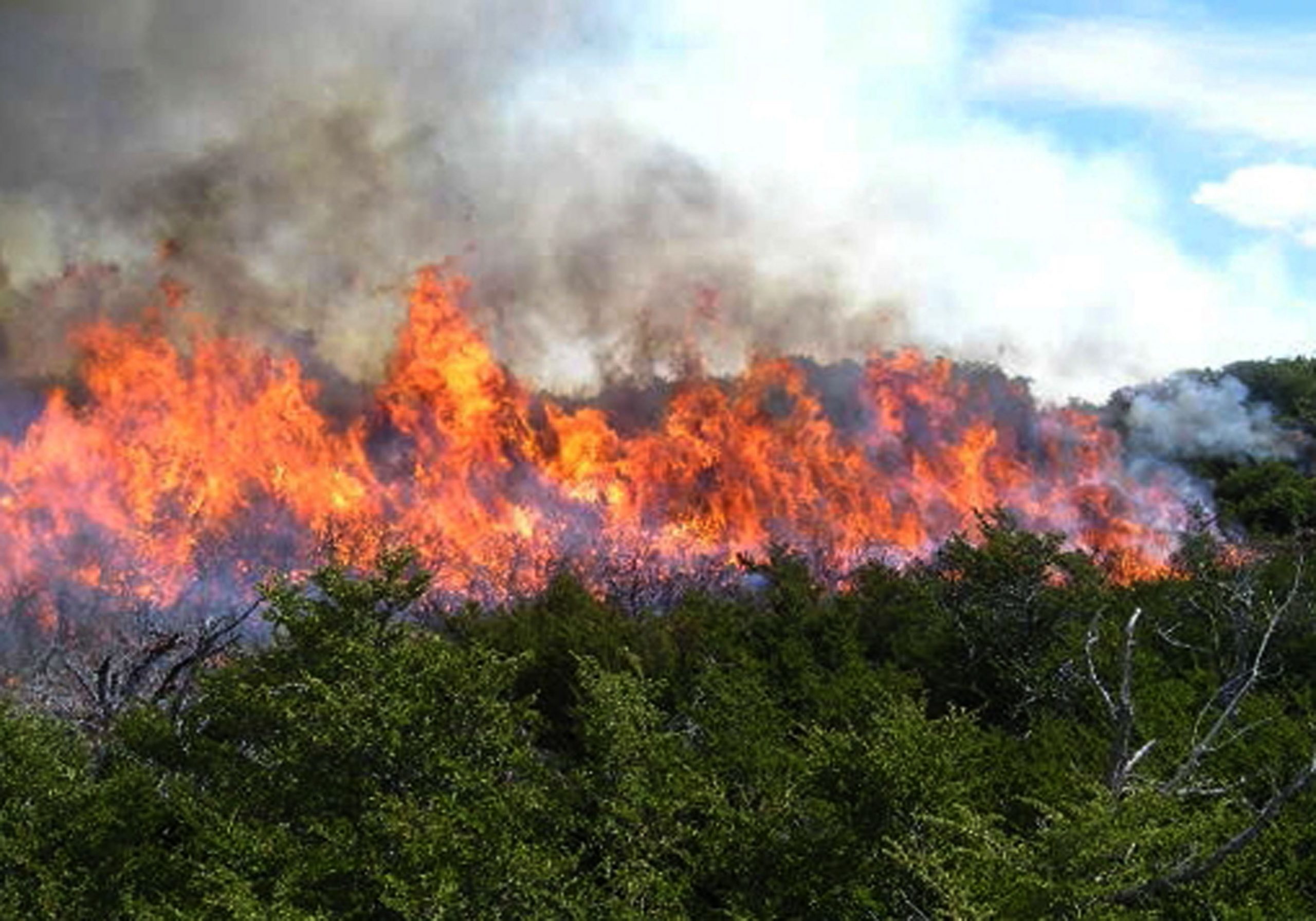 incendio forestal arrasando el monte
